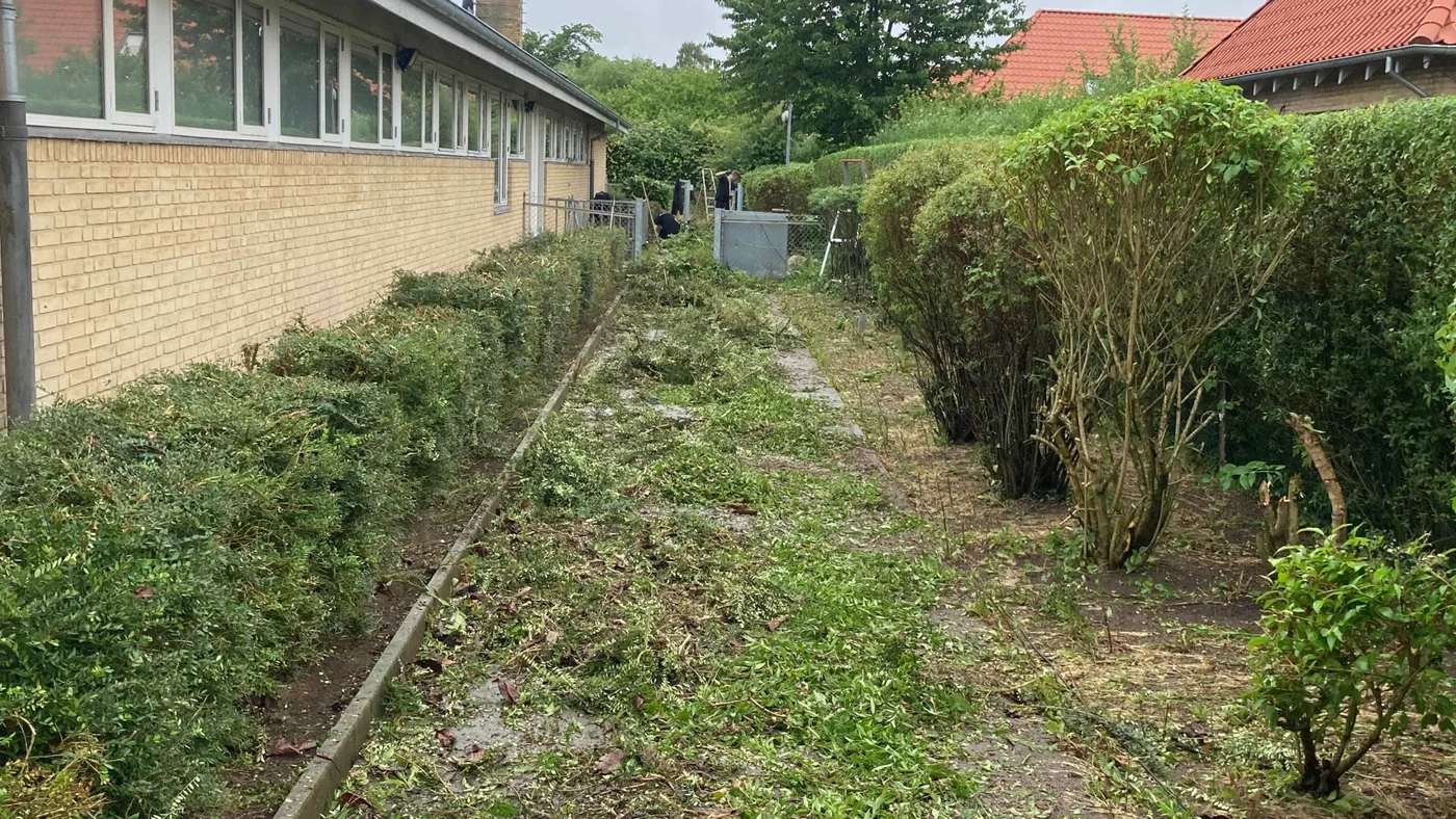 Før billede